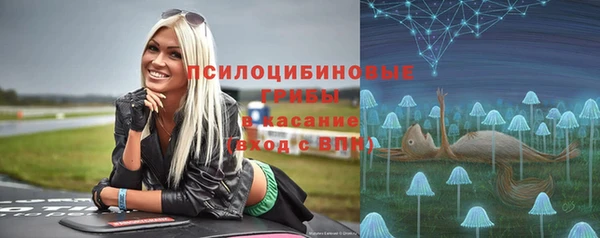 хмурый Тавда