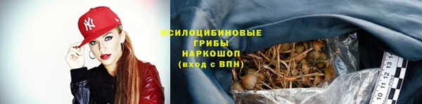 mdpv Струнино