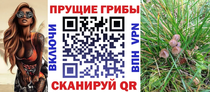 Купить закладки  Карасук  Галлюциногенные грибы прущие грибы 